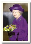 (26) Queen Elizabeth (17 x 12 cm)